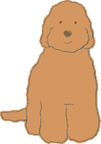 カラー:アプリコット