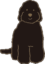 カラー:ブラック