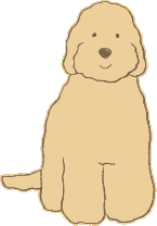 カラー:キャラメル