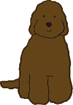 カラー:チョコレート