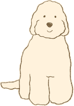 カラー:クリーム