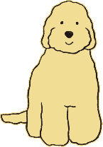 カラー:ゴールド