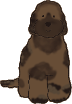 カラー:マルチパターン