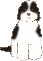 カラー:パーティ