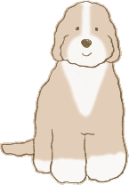 カラー:タキシード