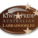 Kiwi Pride Japan